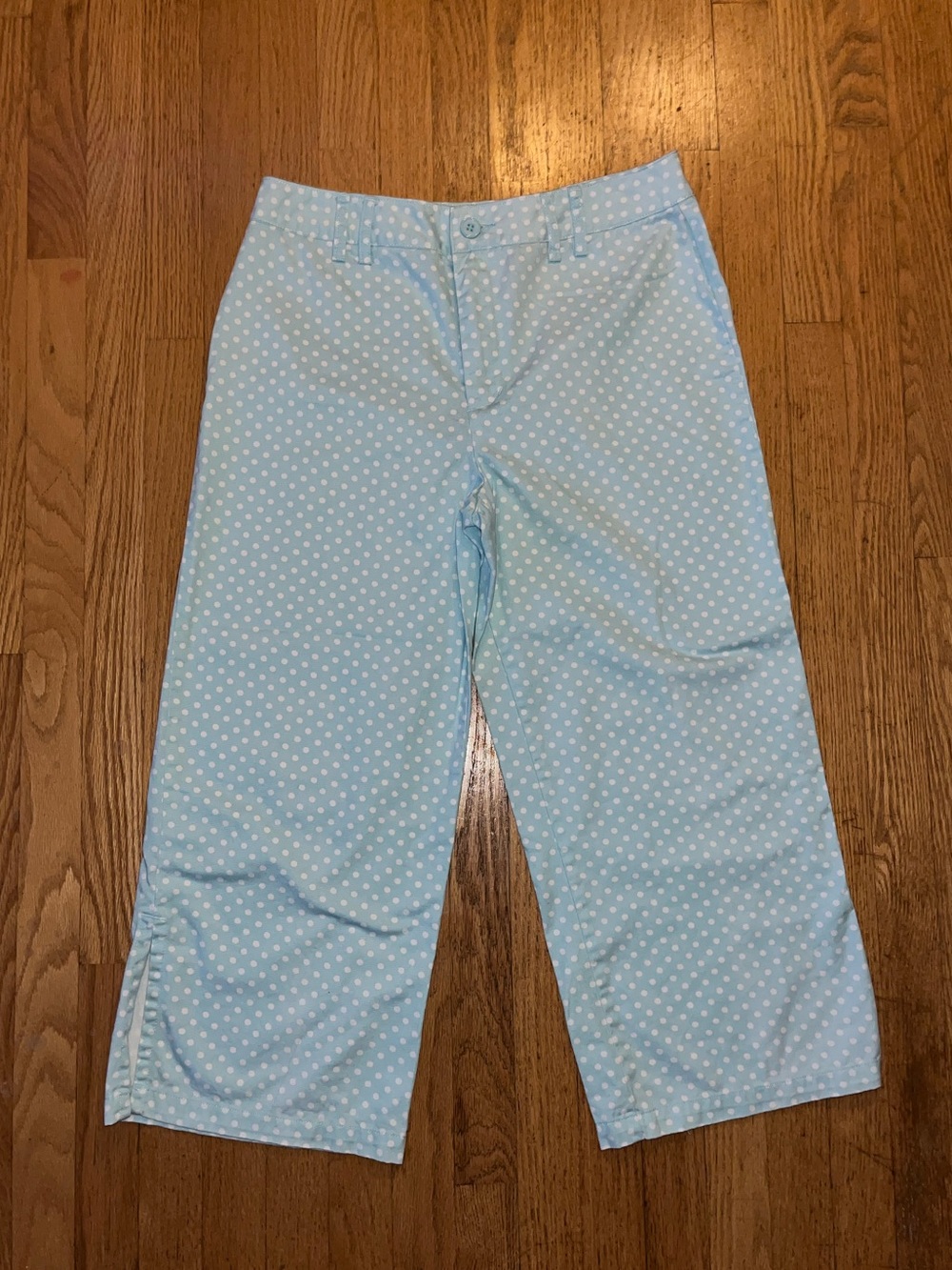 Chadwicks Light Blue Polka Dot Pants